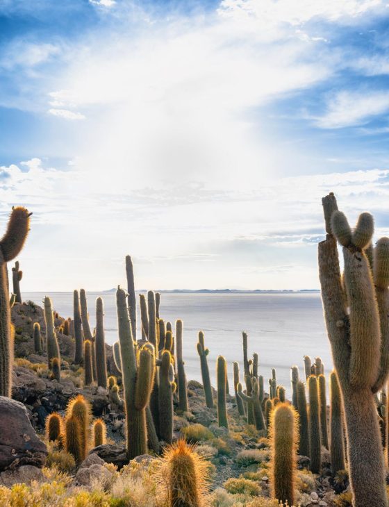 Islaincahuasi