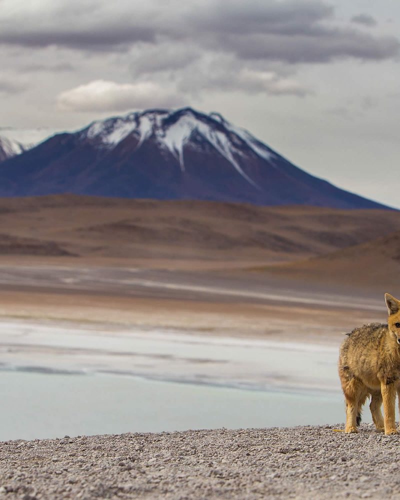 bolivia3-